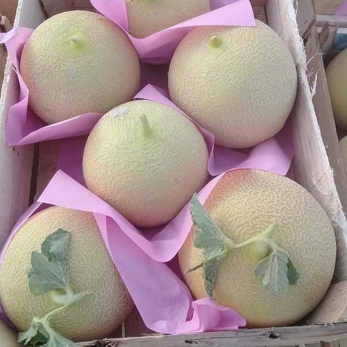 Aton Green Egypt Fresh Fruits & Vegetables